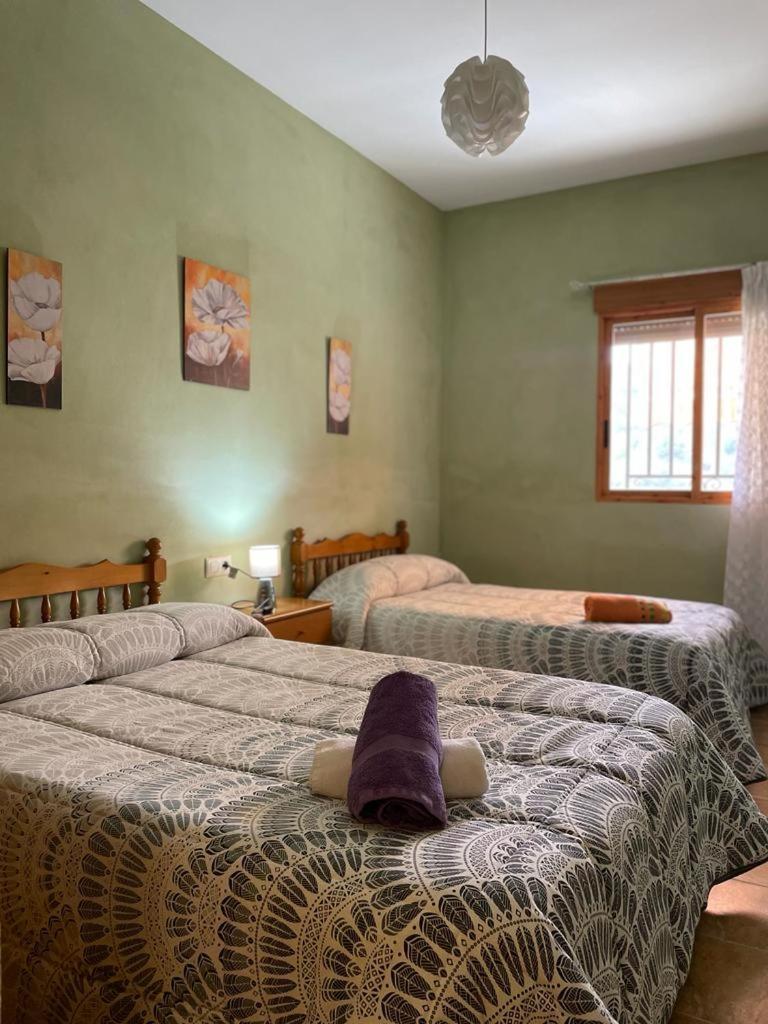 Casa Rural Puente Del Segura Elche de la Sierra Ngoại thất bức ảnh