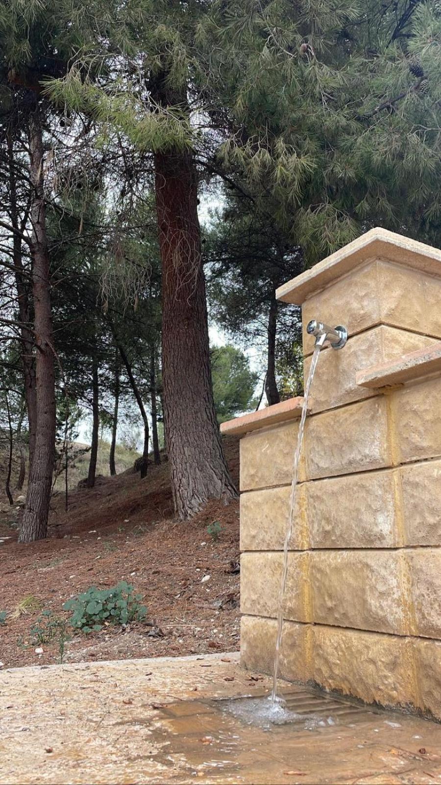 Casa Rural Puente Del Segura Elche de la Sierra Ngoại thất bức ảnh