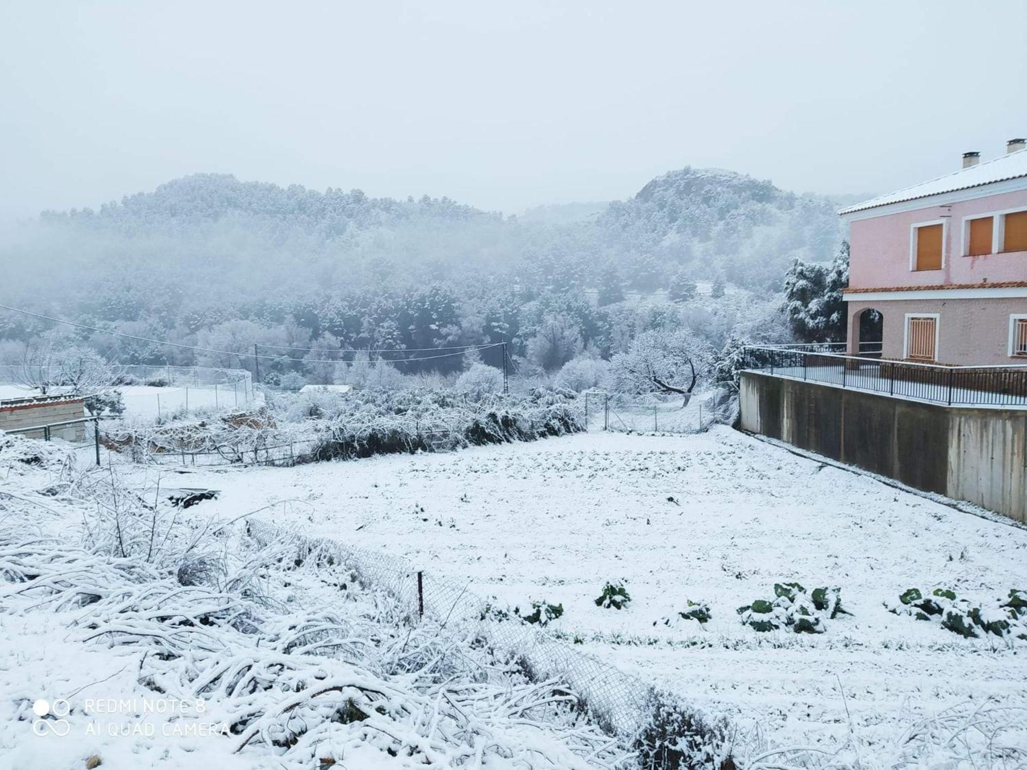 Casa Rural Puente Del Segura Elche de la Sierra Ngoại thất bức ảnh