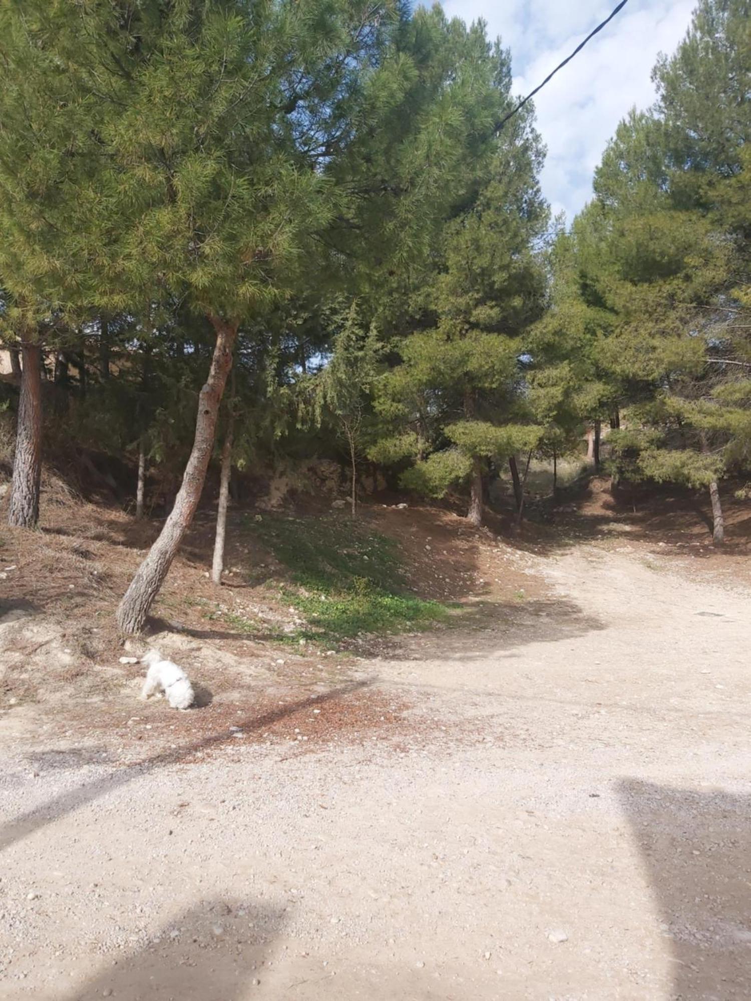 Casa Rural Puente Del Segura Elche de la Sierra Ngoại thất bức ảnh